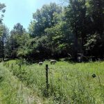 viaggiare-zaino-in-spalla-percorsi-per-allenarsi-campagna