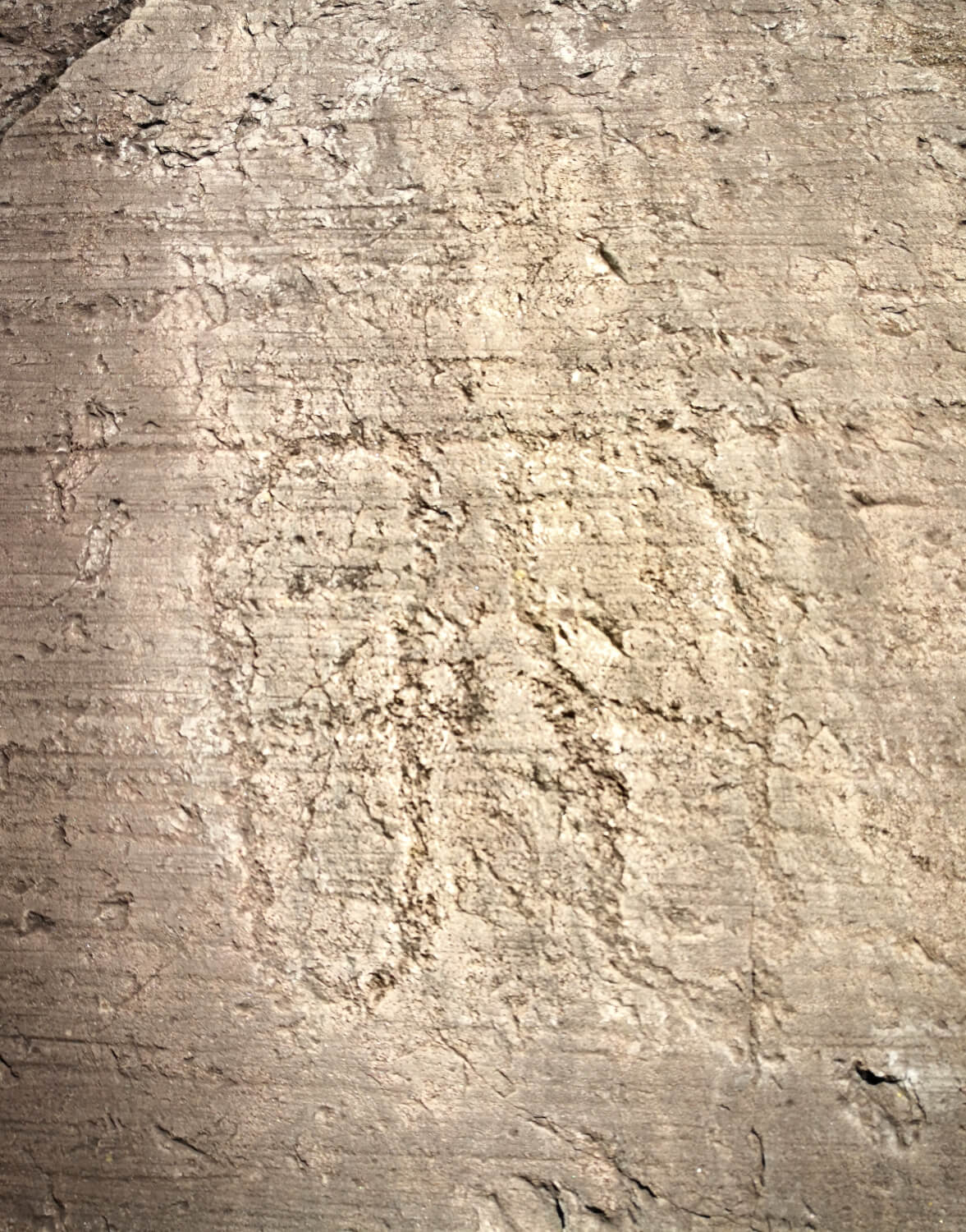 incisioni rupestri valcamonica impronta