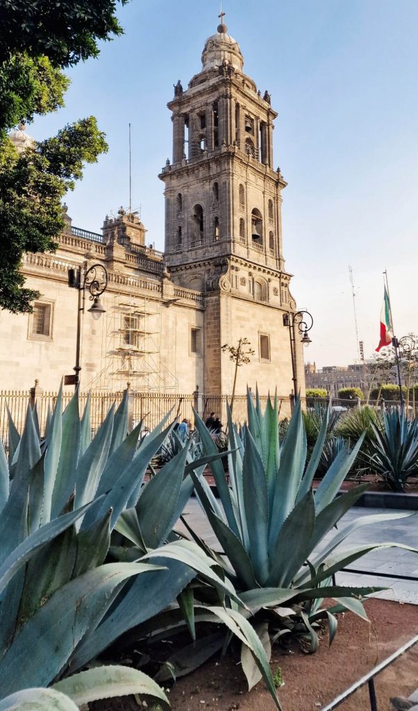 Cattedrale Città del Messico